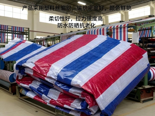北方产业集群的典范：临沂彩条布编织涂塑一体化工艺解析